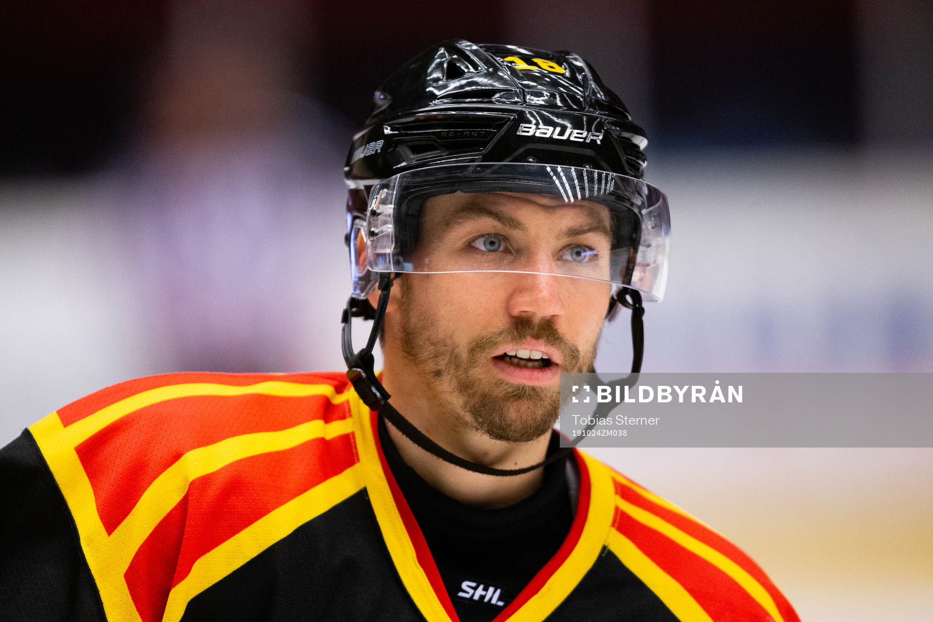 Brynäs Anton Rödin