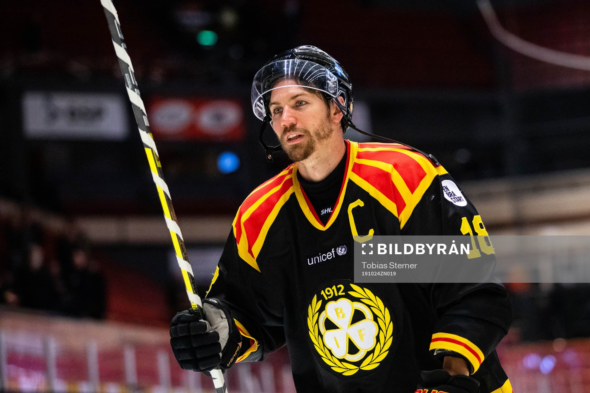 Brynäs Anton Rödin