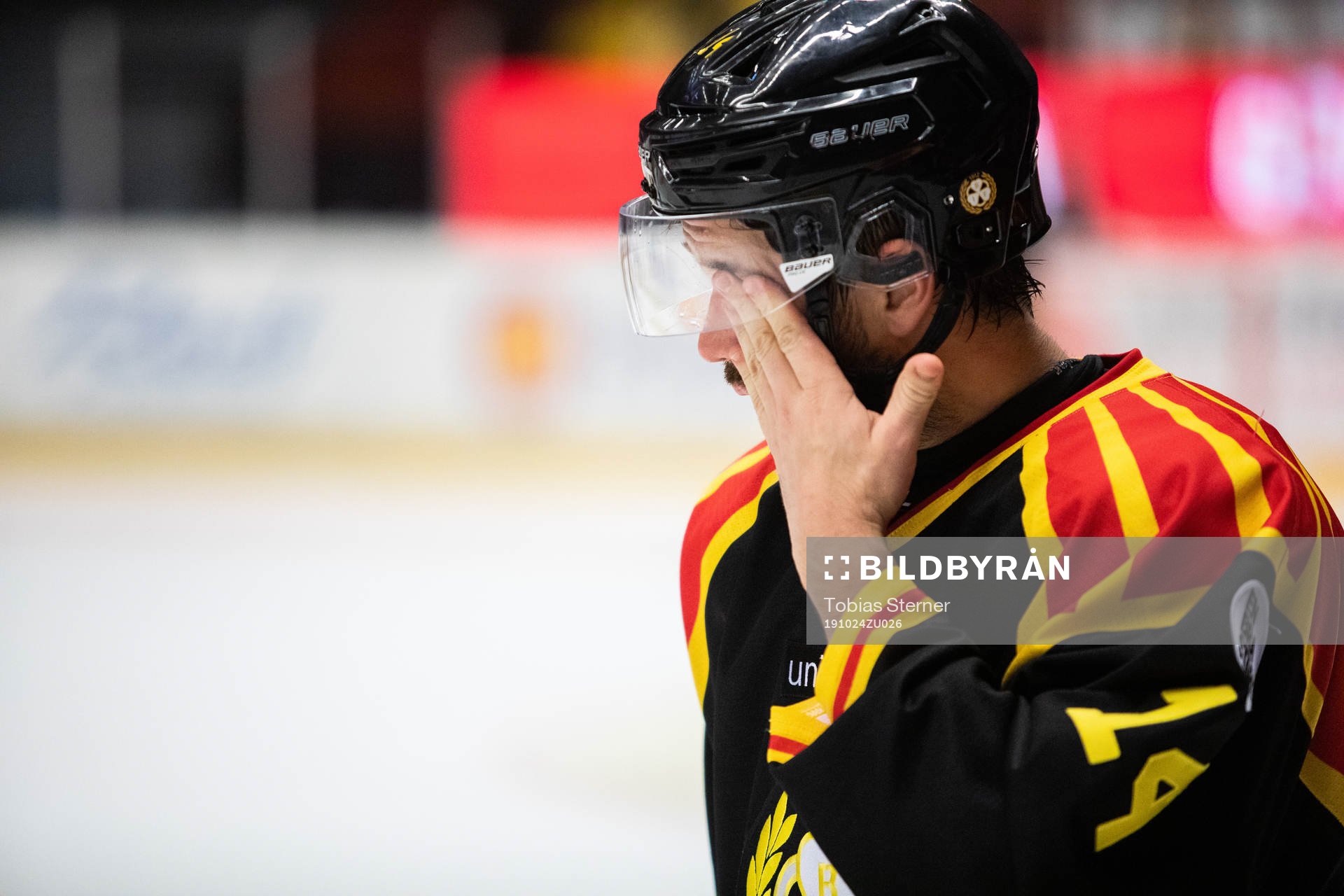 Brynäs Johan Alcén