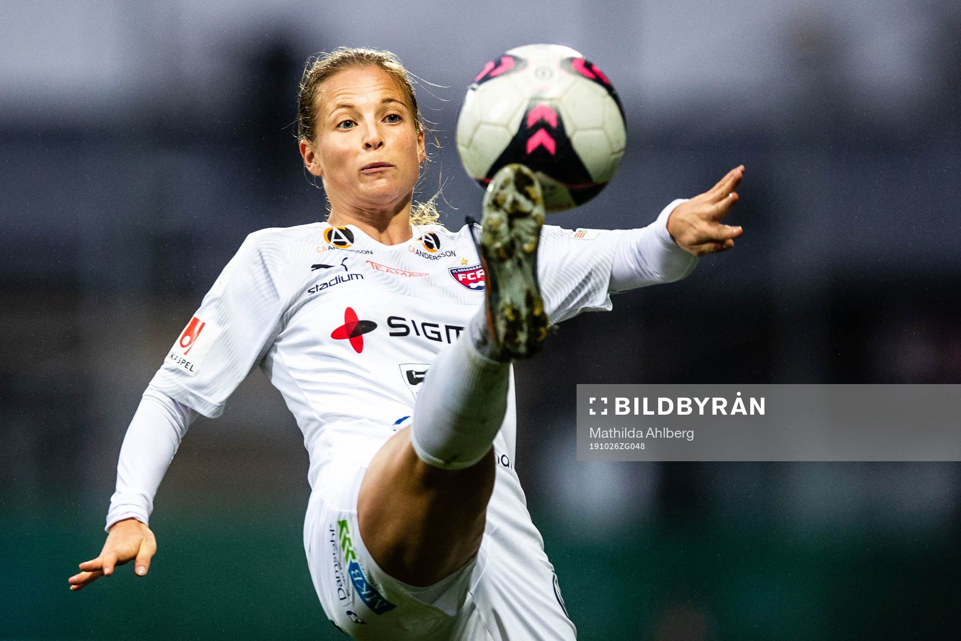 Rosengårds Anna Anvegård