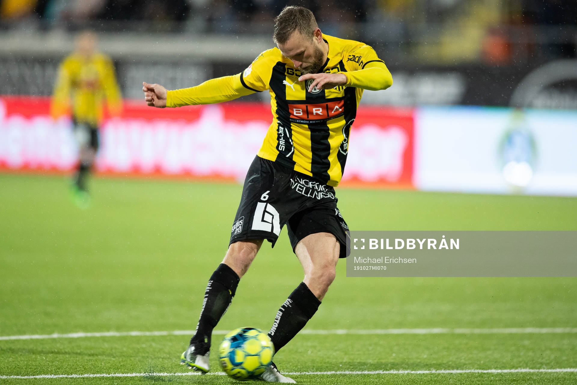 Häckens Alexander Faltsetas