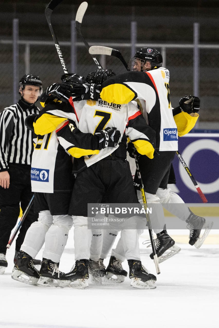 Södermanlands spelare jublar