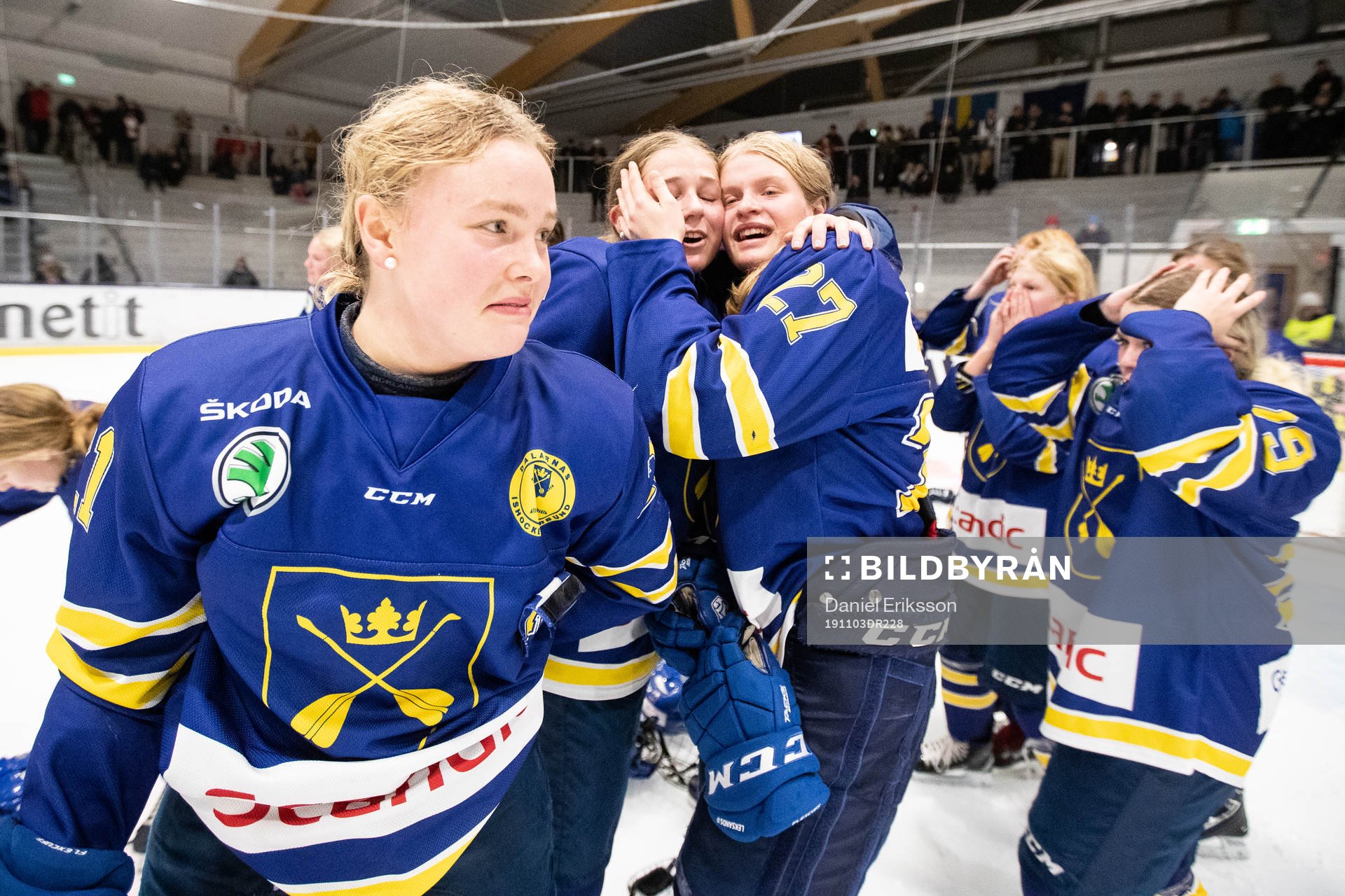 Dalarnas spelare jublar