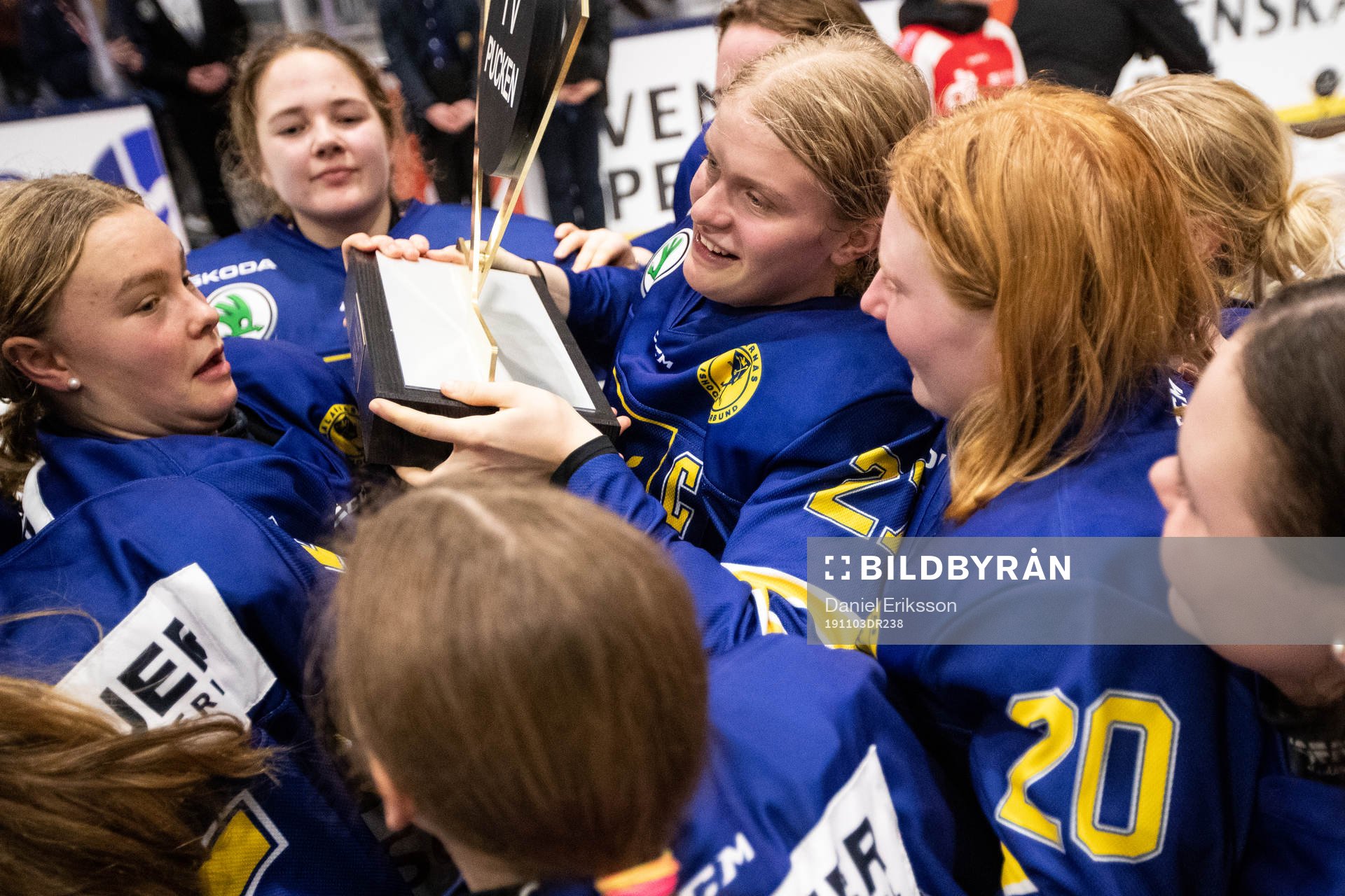 Dalarnas spelare jublar