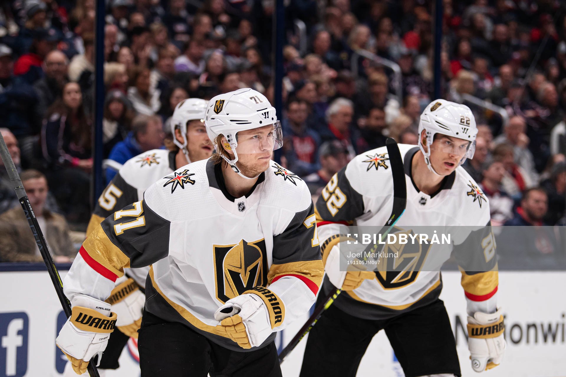 Vegas William Karlsson