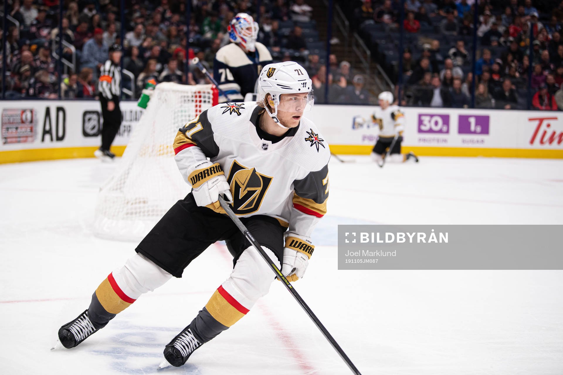 Vegas William Karlsson