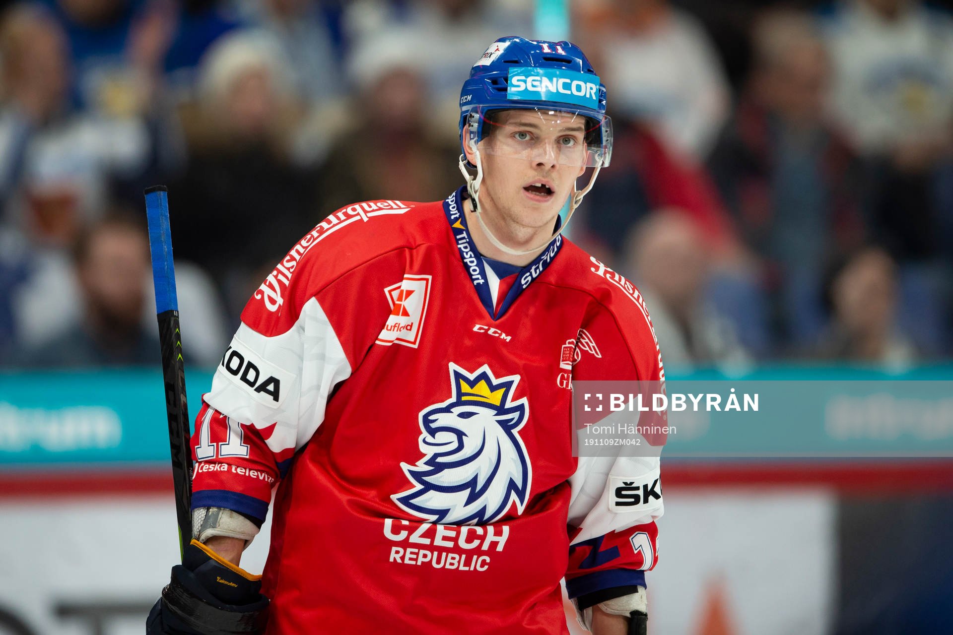 Andrej Nestrasil #11, CZE