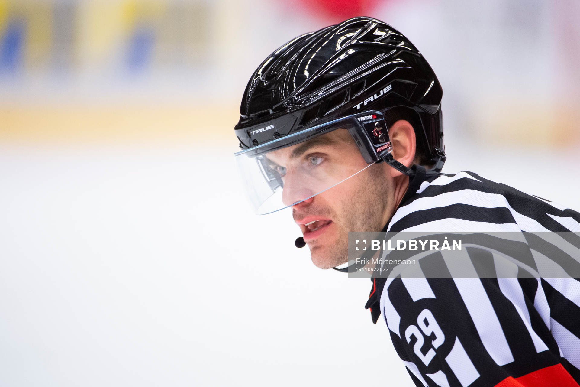 Domare Richard Magnusson