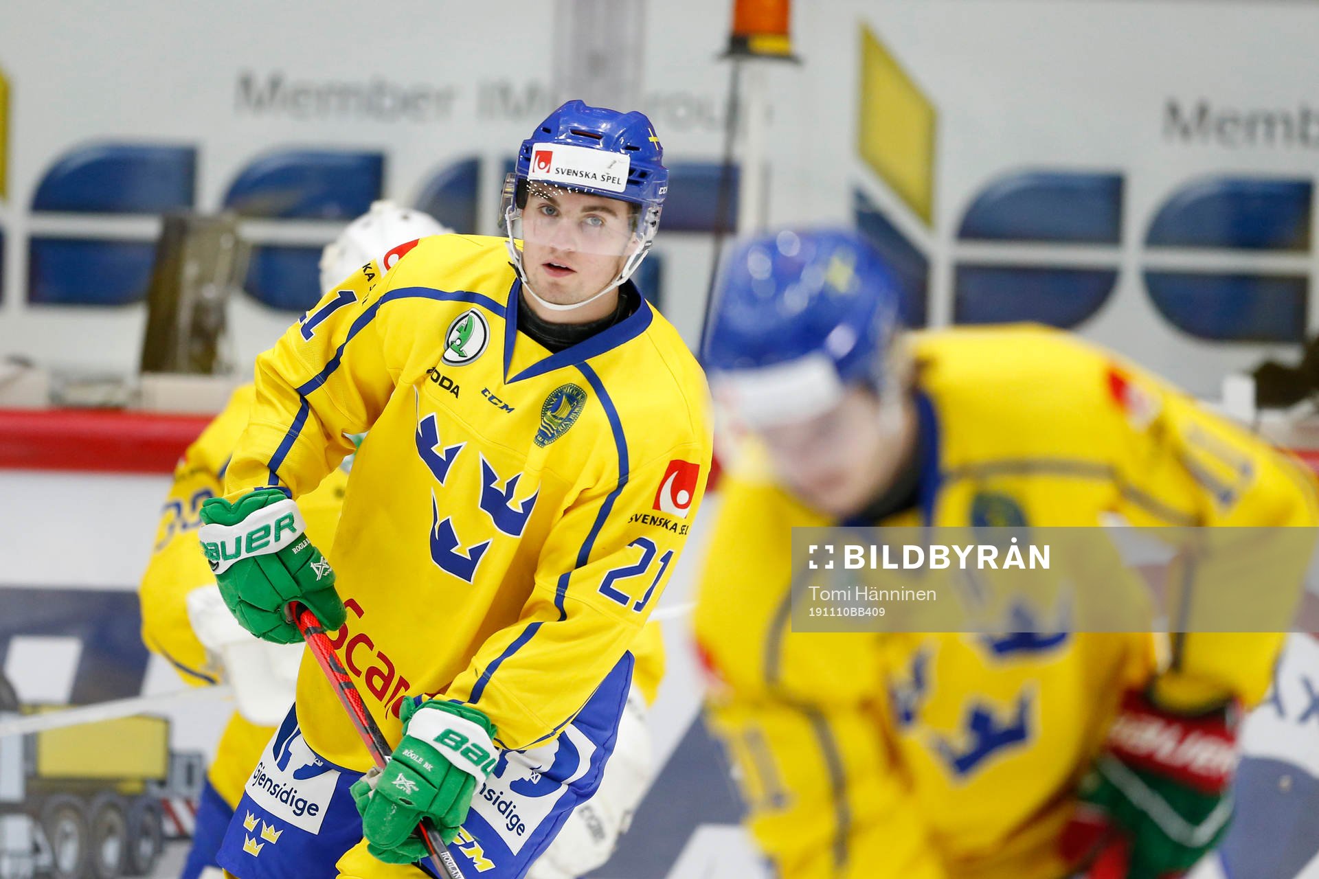 Nils Höglander #21, SWE