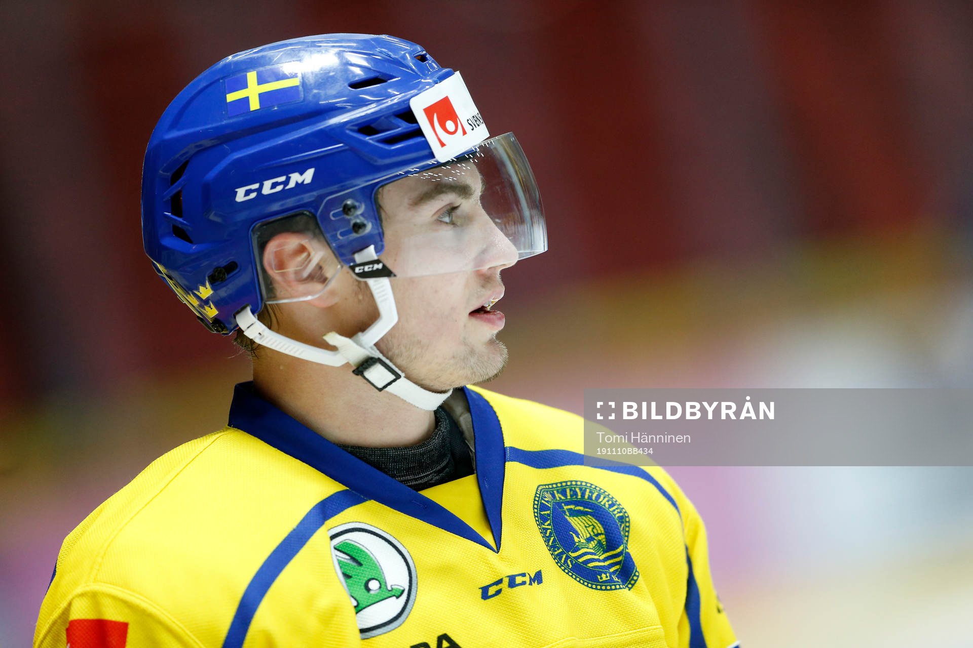 Nils Höglander #21, SWE