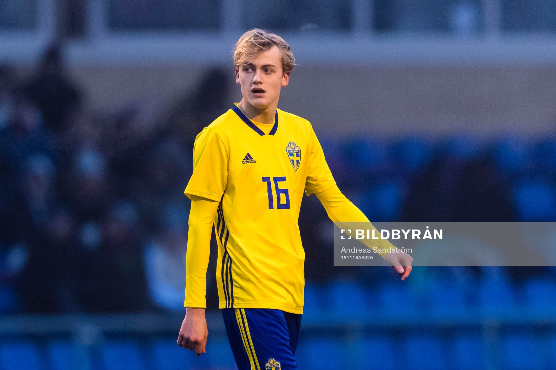 Sveriges Oskar Fallenius