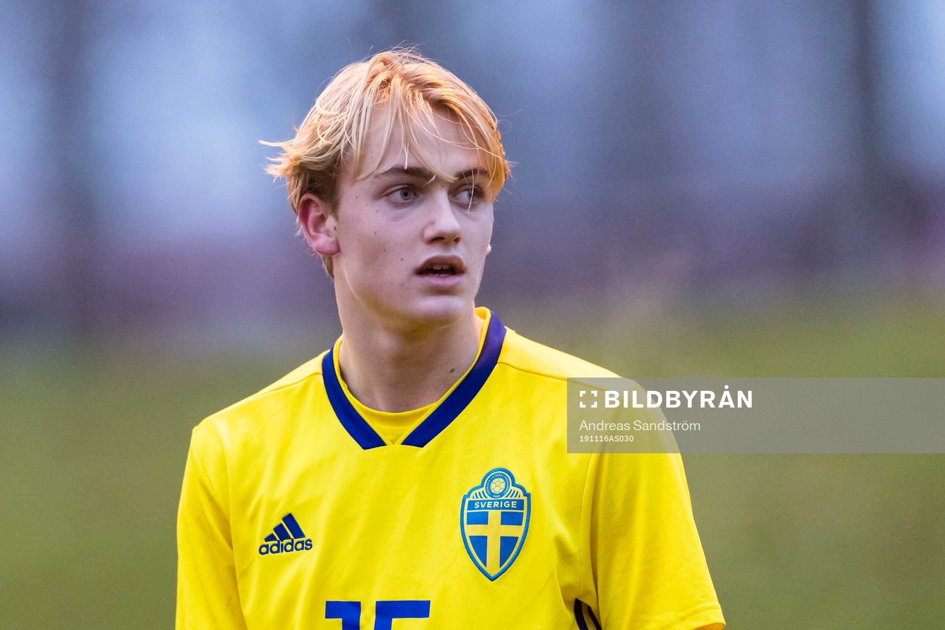 Sveriges Oskar Fallenius