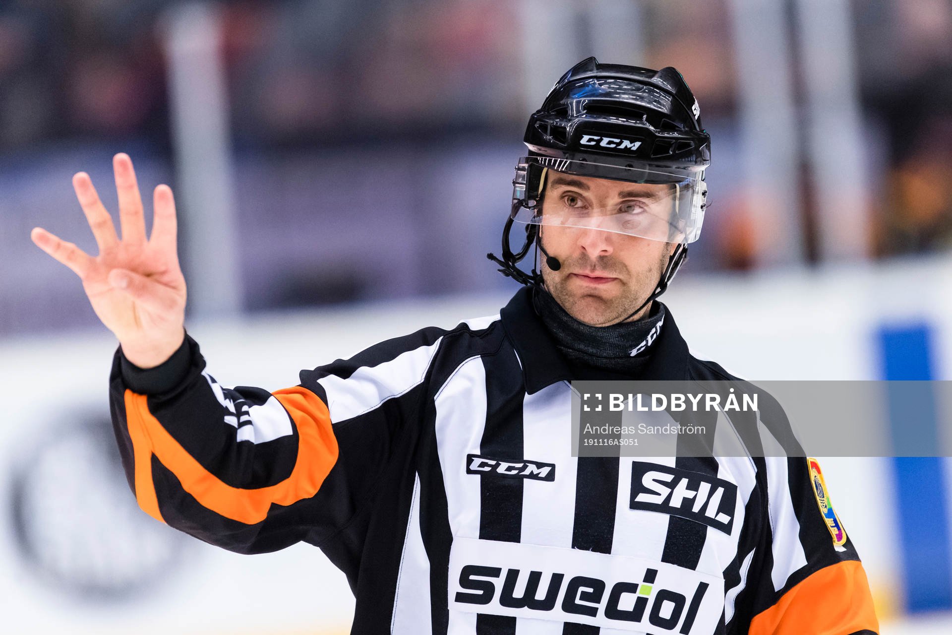 Domare Mikael Sjöqvist