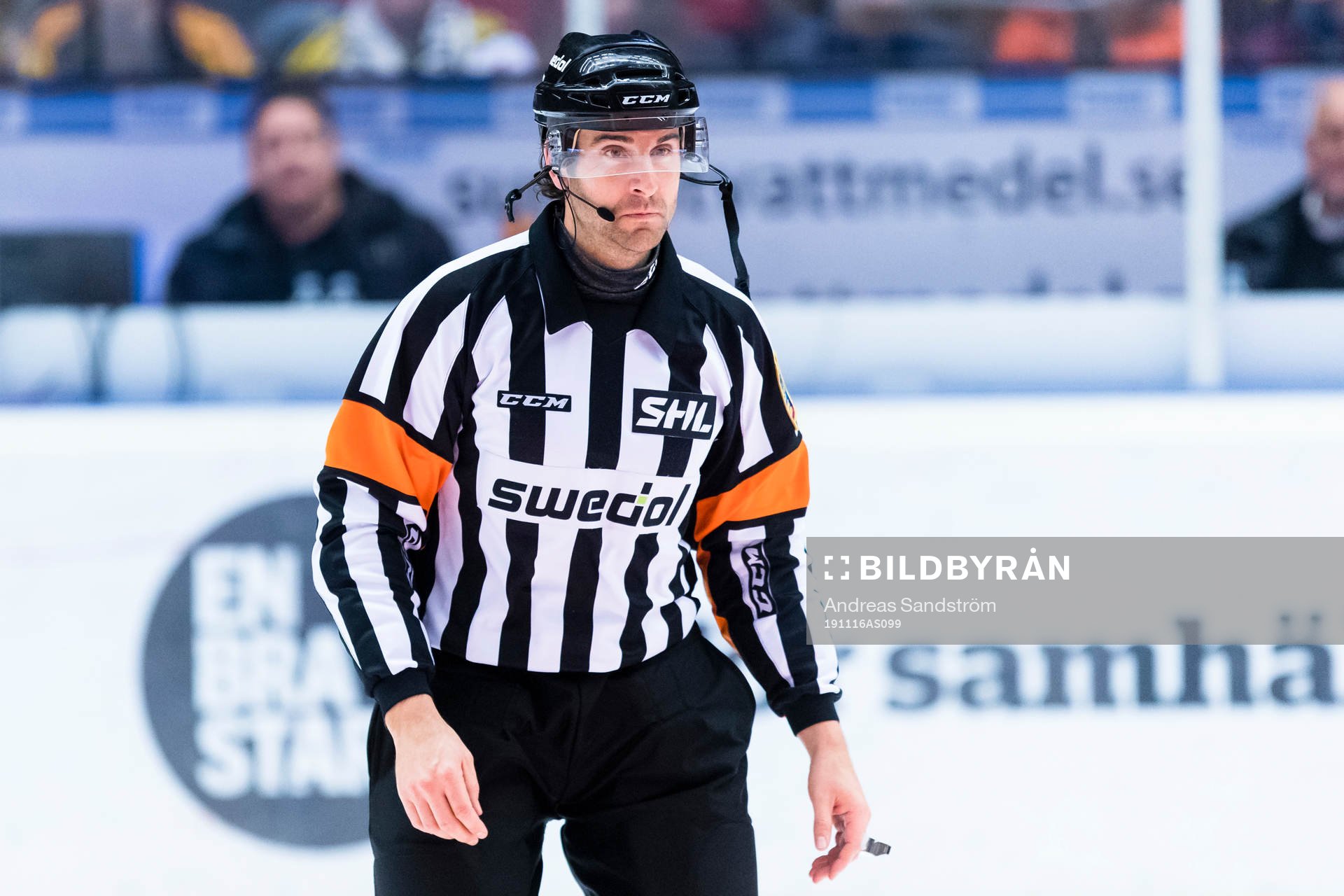 Domare Mikael Sjöqvist