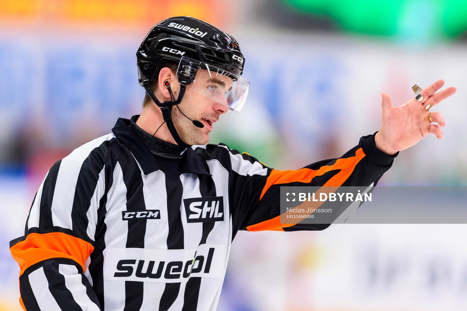 Domare Richard Magnusson