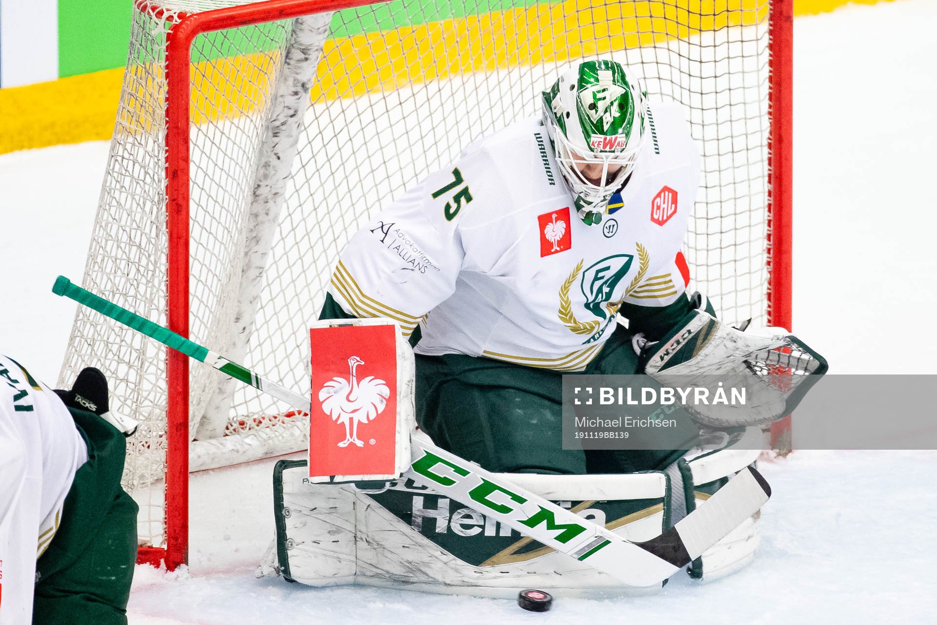 Goalkeeper Arvid Holm of Färjestad