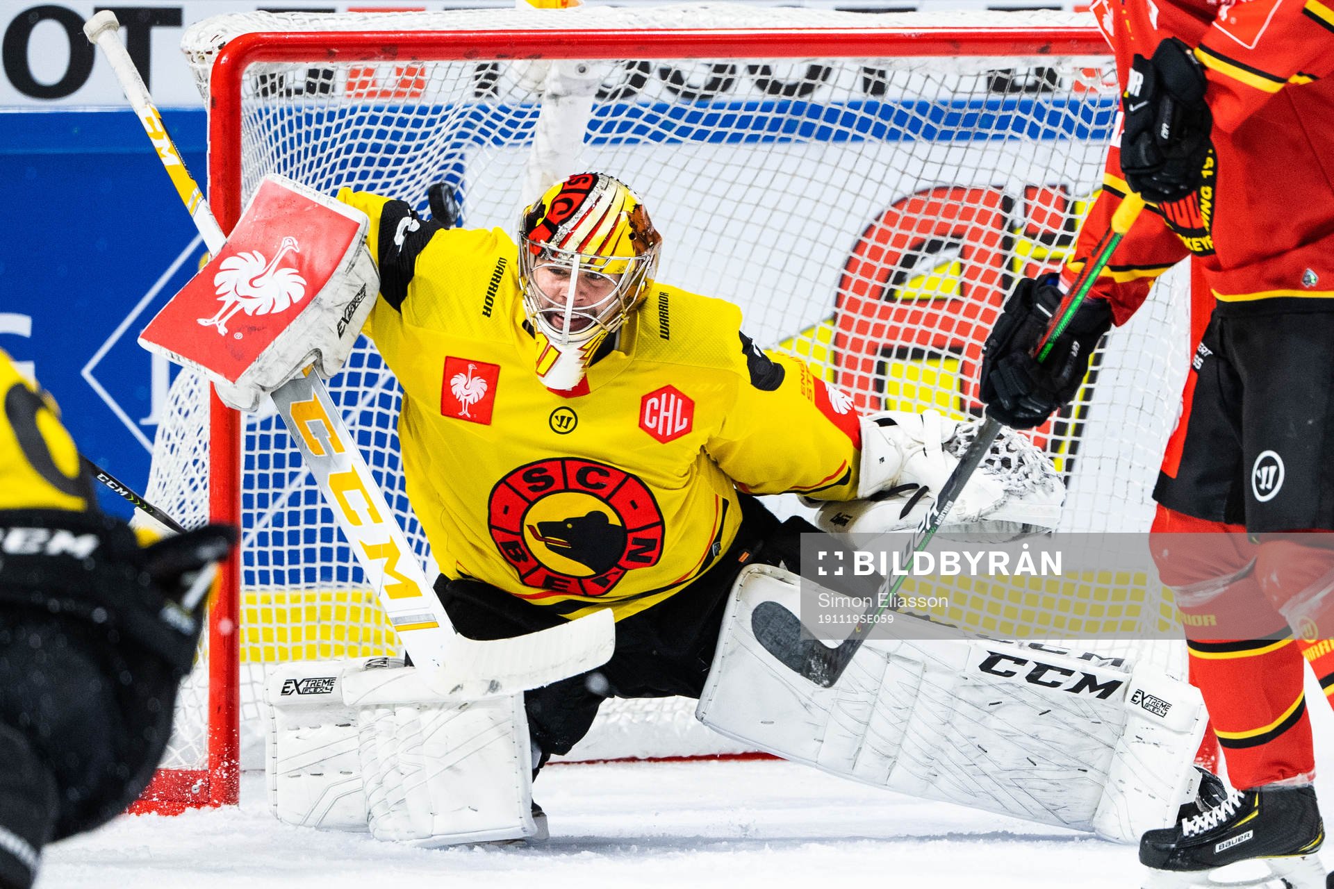 Goalkeeper Pascal Caminada of SC Bern