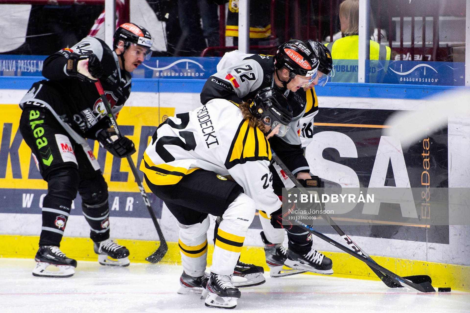 Brynäs Adam Brodecki och Malmö Redhawks Lars Bryggman