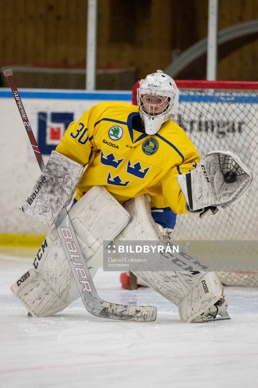 Sveriges målvakt William Larsson