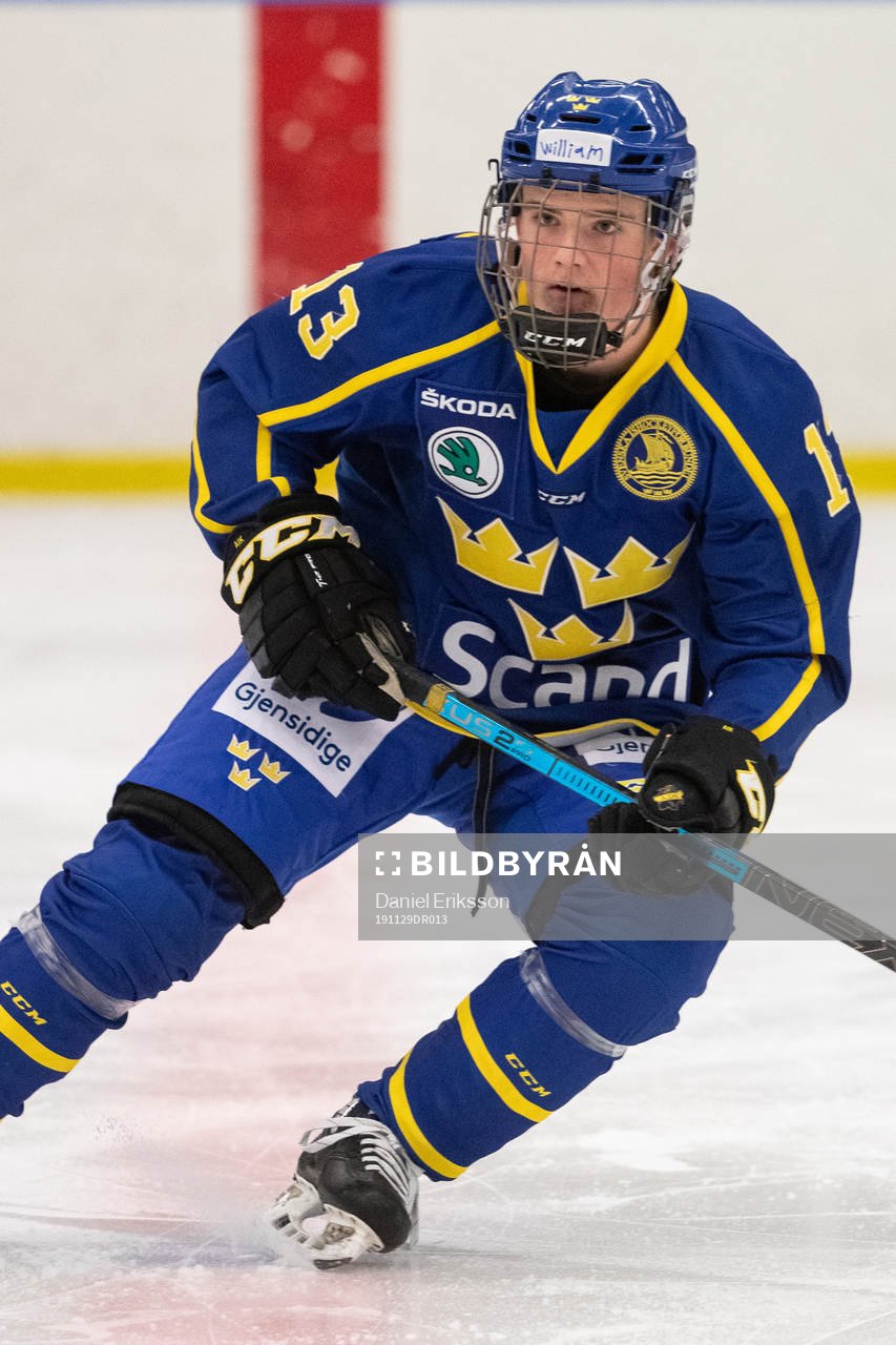 Sveriges William Rosenfors