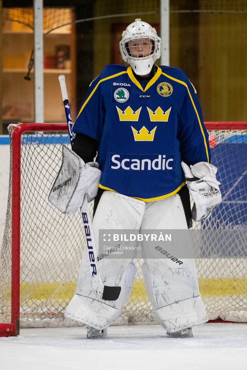 Sveriges målvakt Alexander Hellnemo