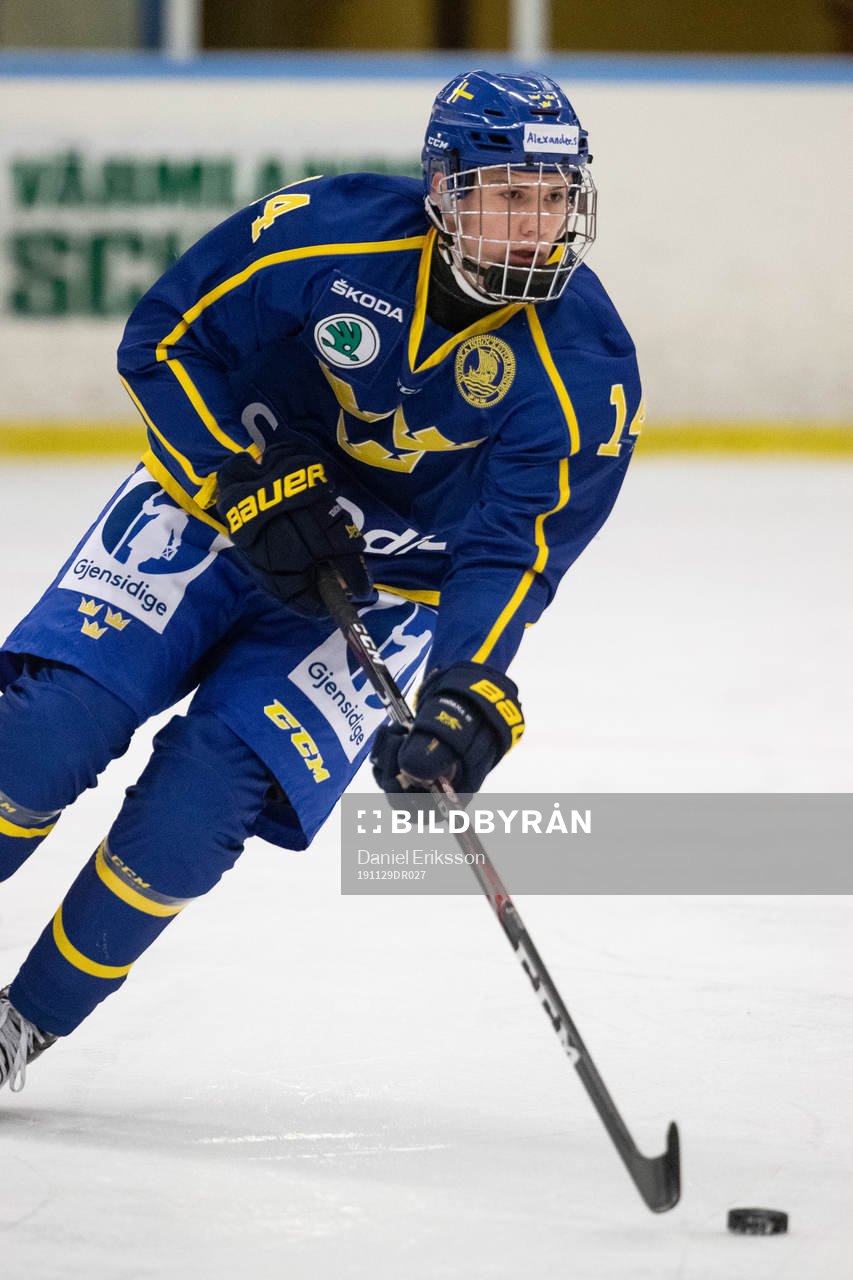 Sveriges Alexander Suzdalev