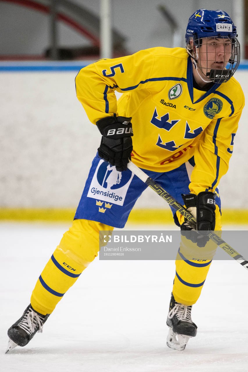 Sveriges Ludwig Ericsson