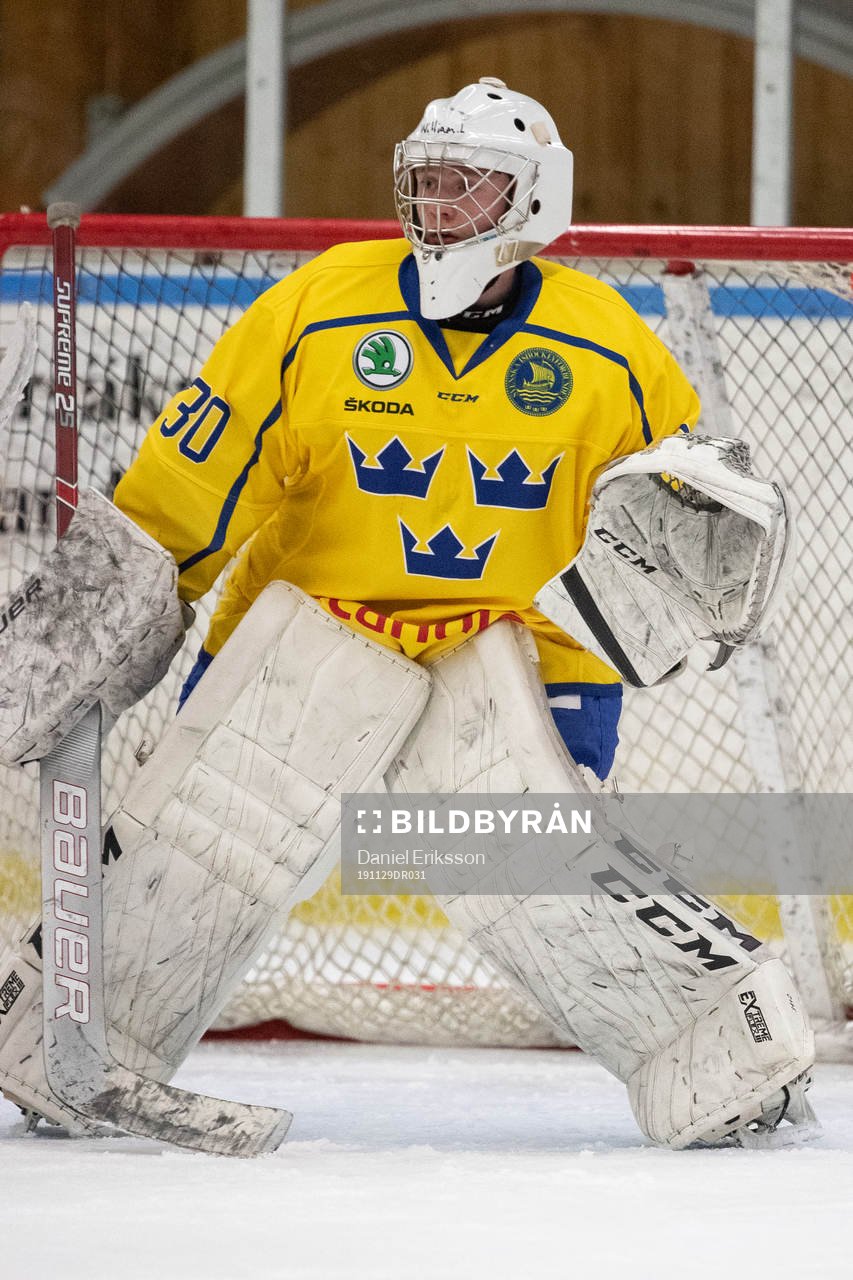 Sveriges målvakt William Larsson