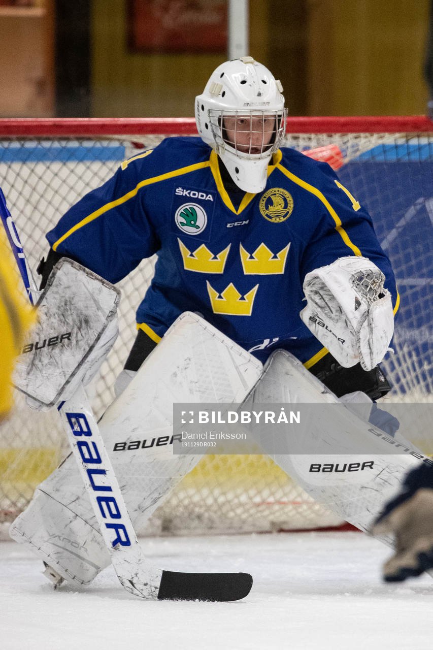 Sveriges målvakt Alexander Hellnemo