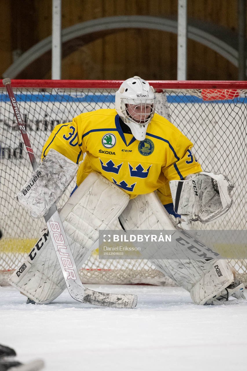 Sveriges målvakt William Larsson