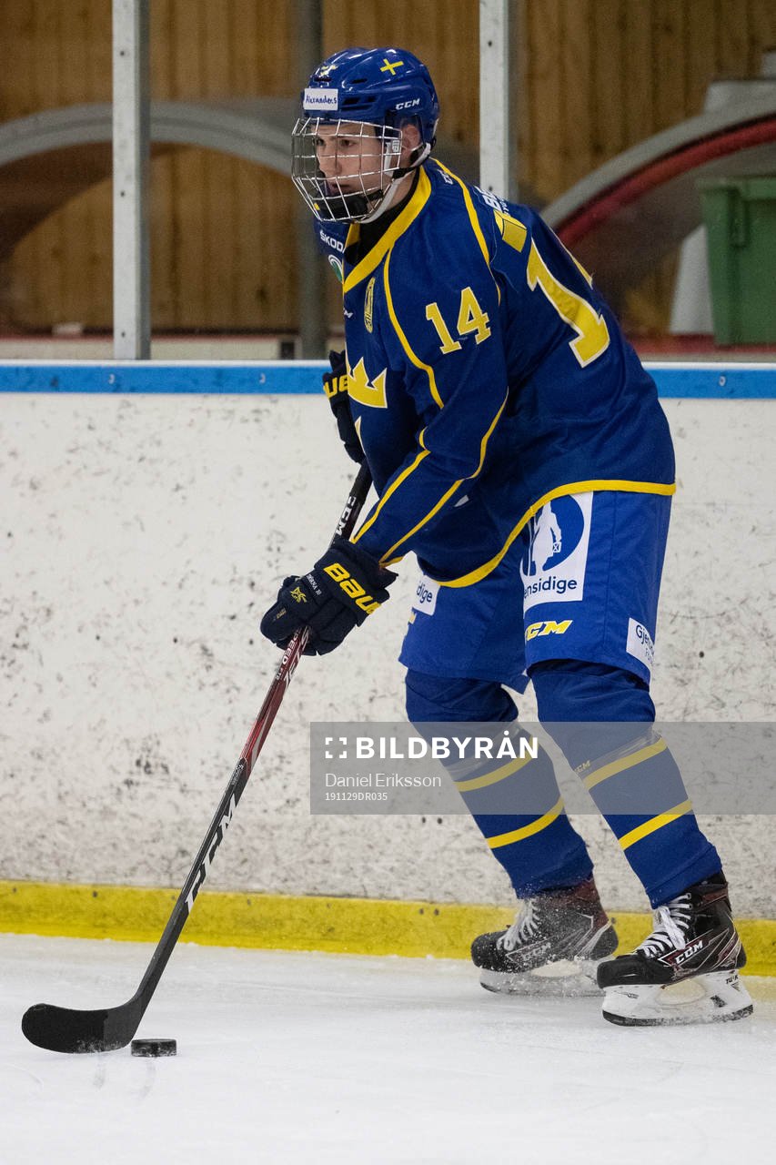 Sveriges Alexander Suzdalev