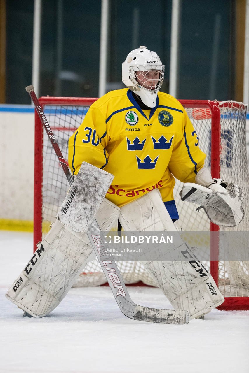 Sveriges målvakt William Larsson