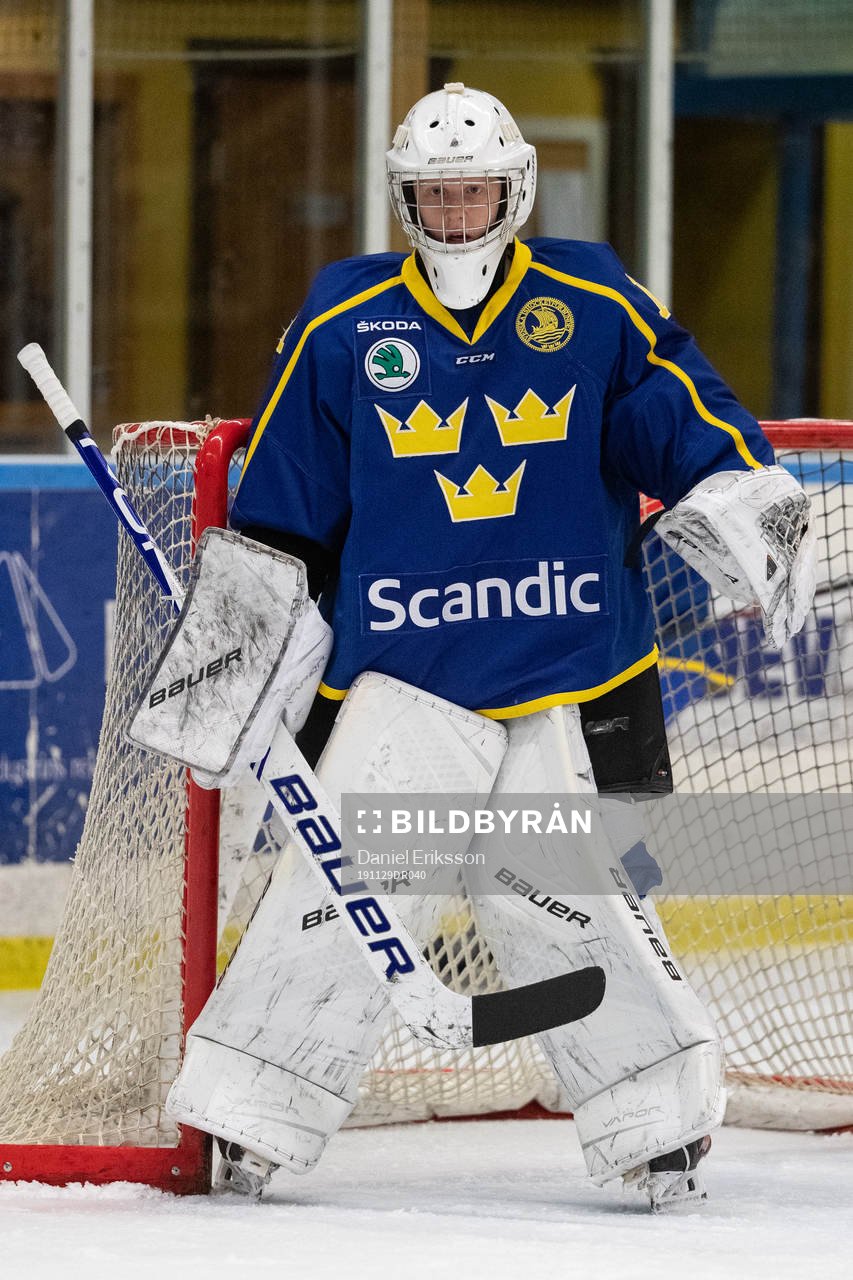 Sveriges målvakt Alexander Hellnemo