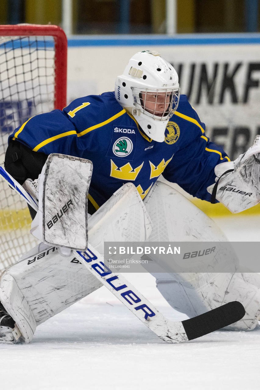 Sveriges målvakt Alexander Hellnemo