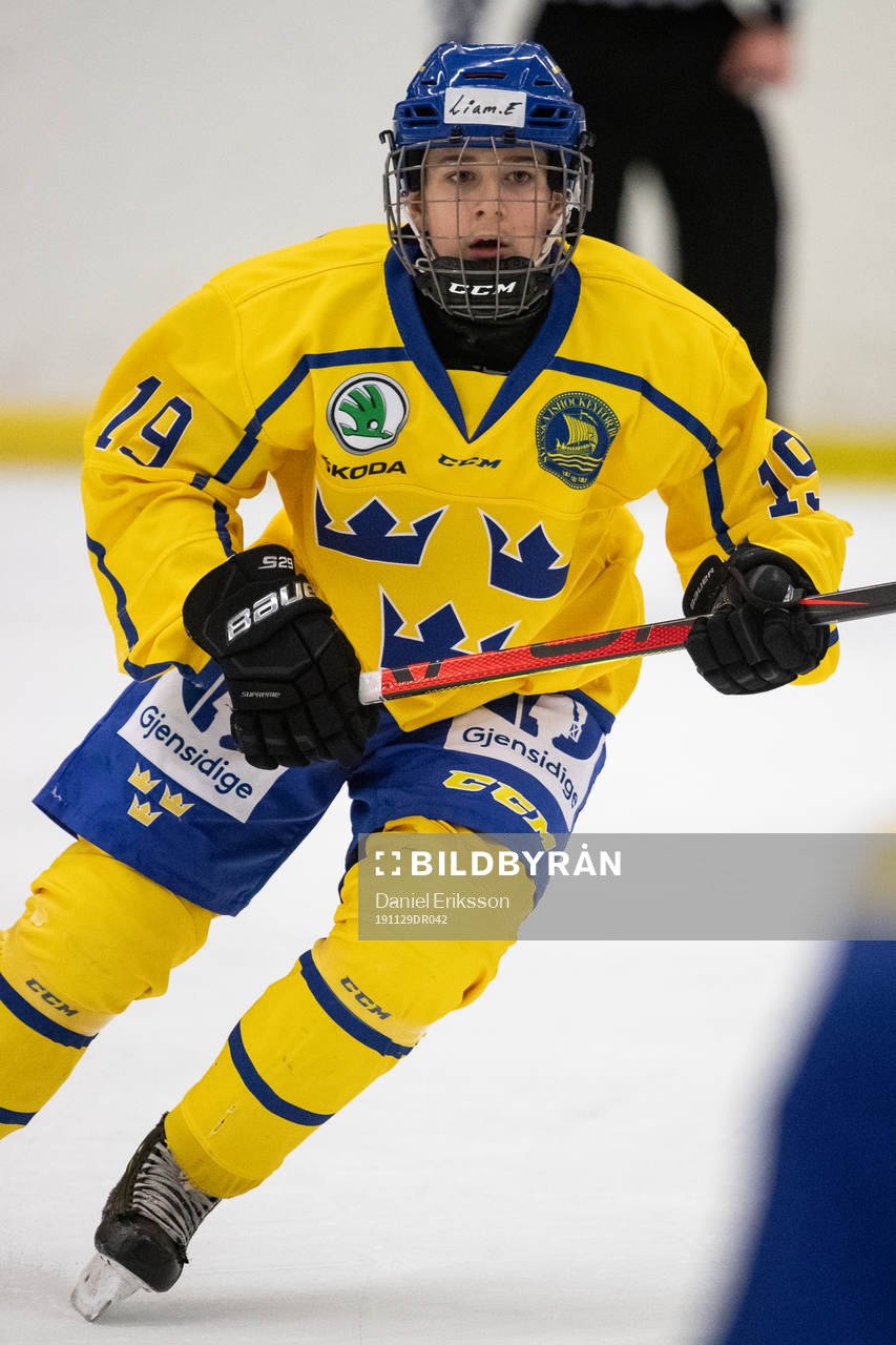 Sveriges Liam Engström