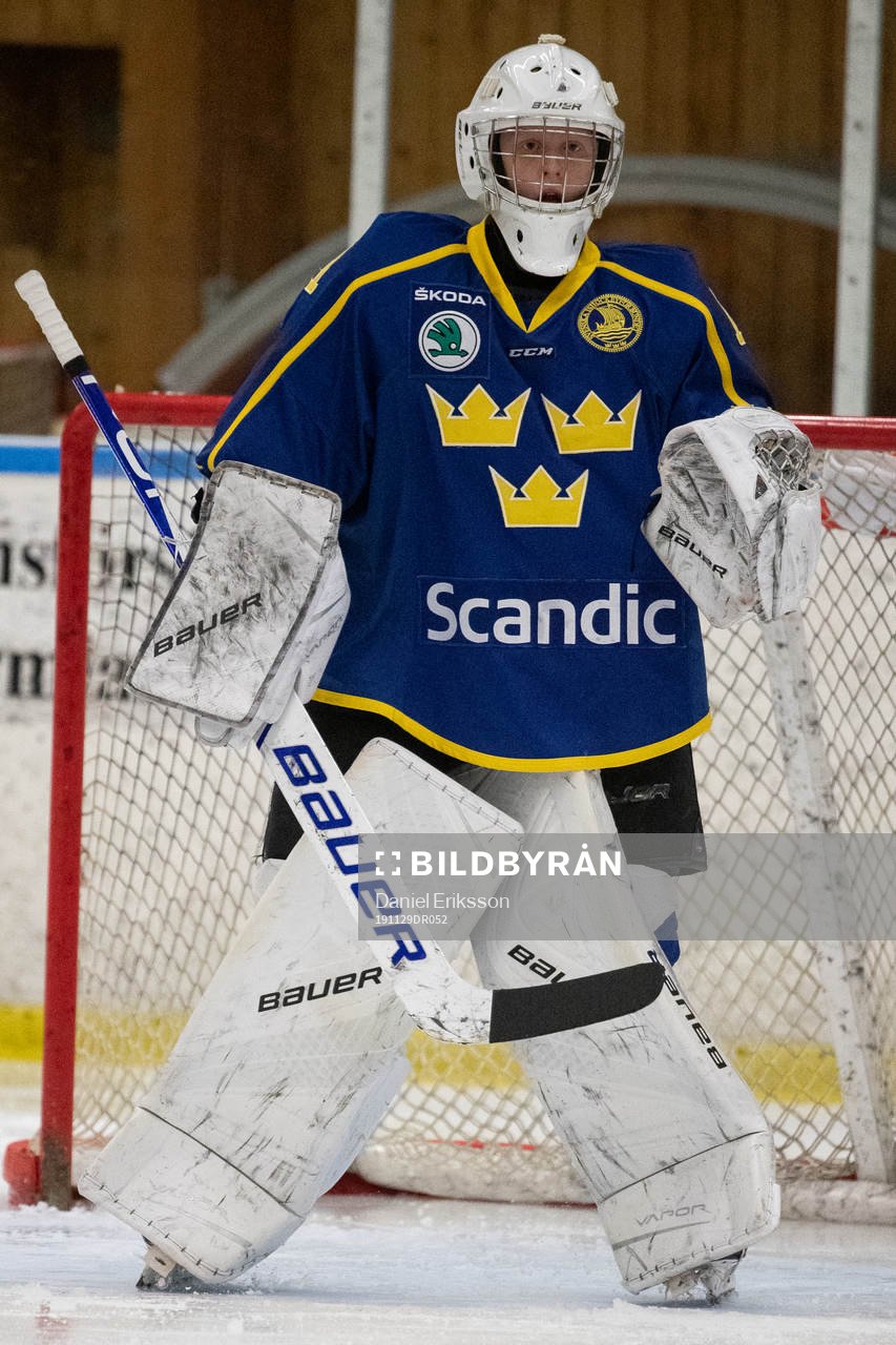 Sveriges målvakt Alexander Hellnemo