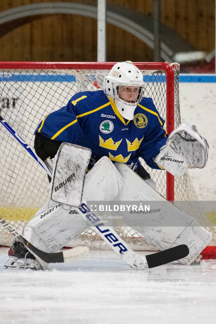 Sveriges målvakt Alexander Hellnemo