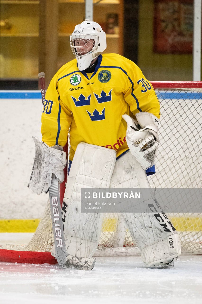 Sveriges målvakt William Larsson