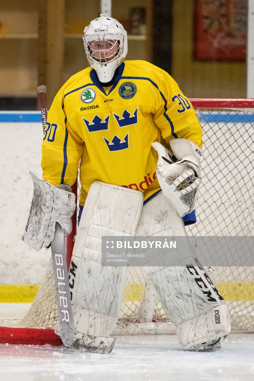 Sveriges målvakt William Larsson