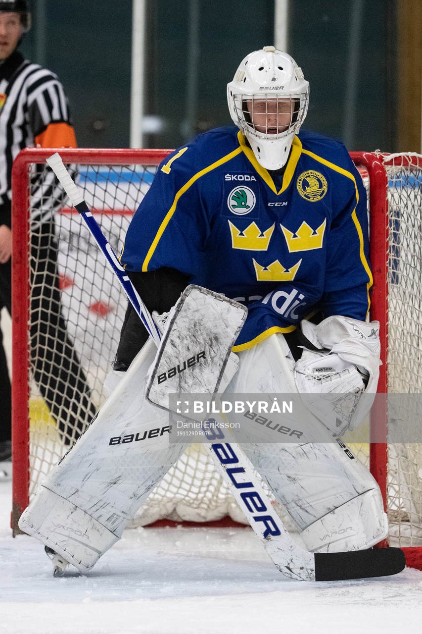 Sveriges målvakt Alexander Hellnemo