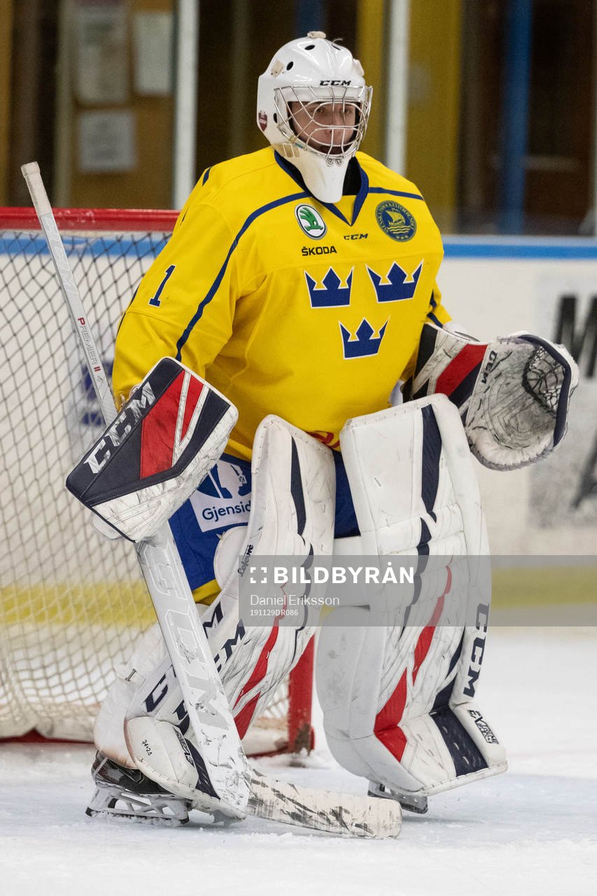 Sveriges målvakt Hugo Hävelid