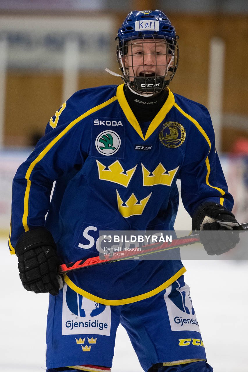 Sveriges Karl Larsson