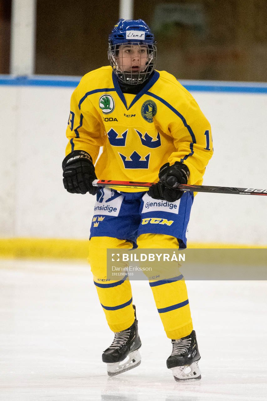 Sveriges Liam Engström