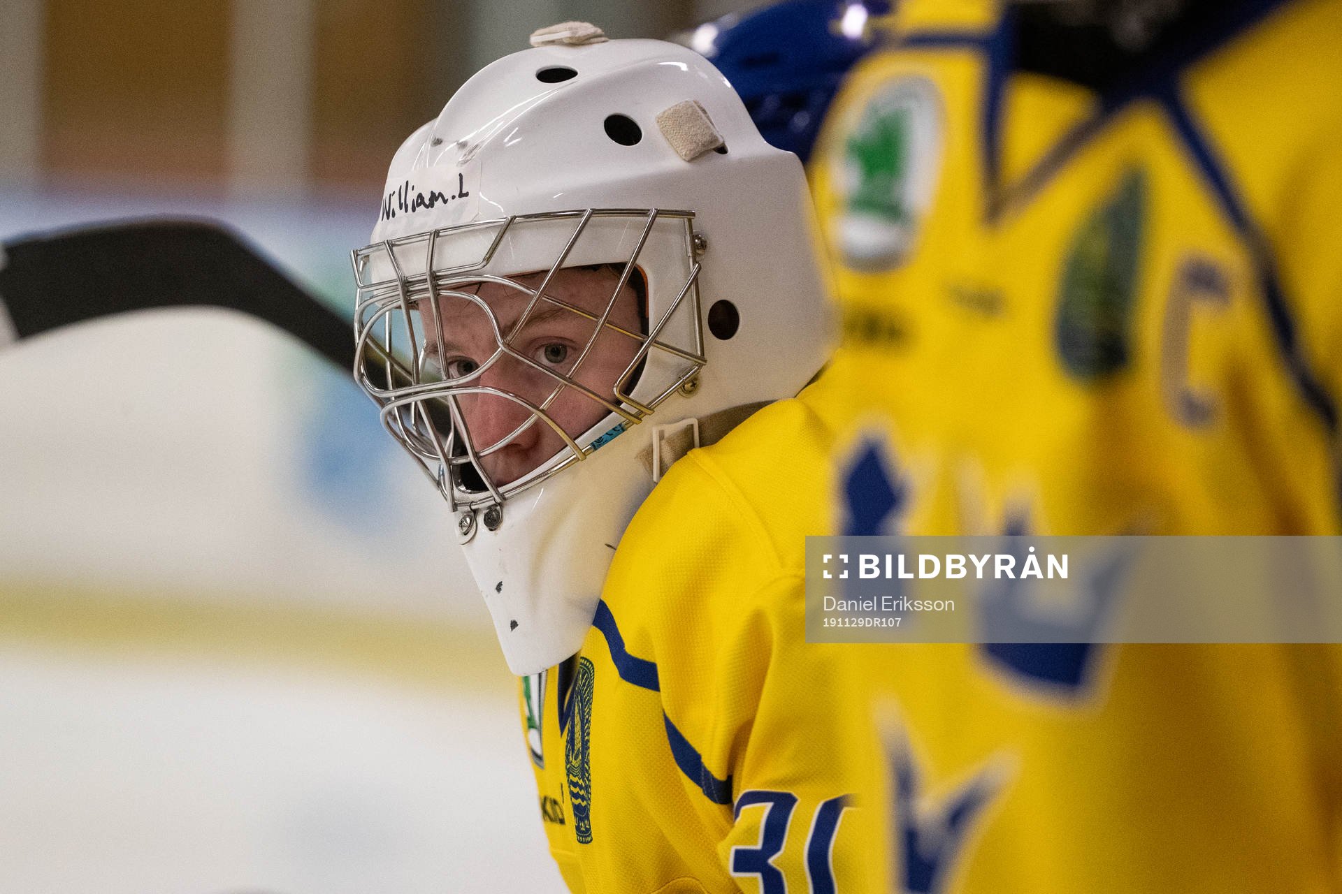 Sveriges målvakt William Larsson