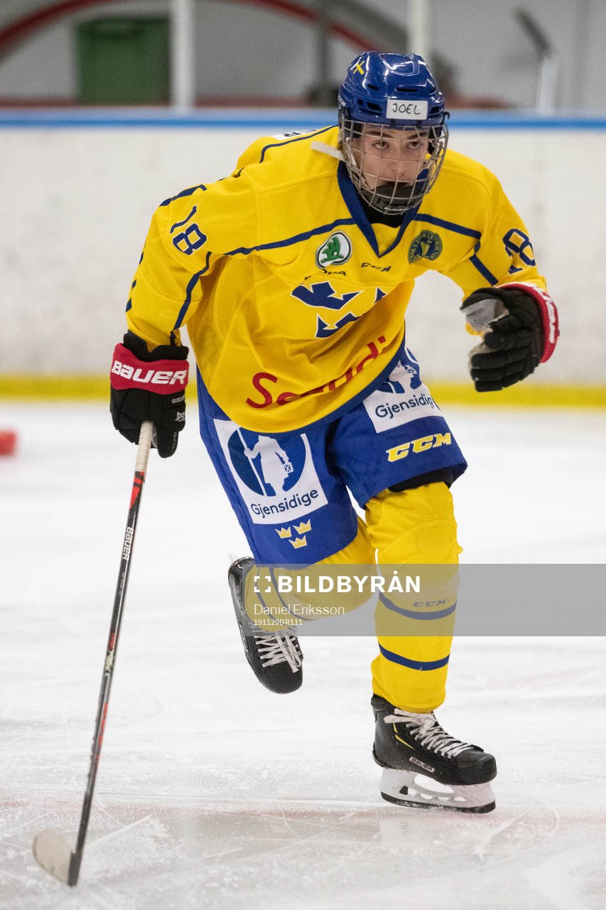 Sveriges Joel Kant