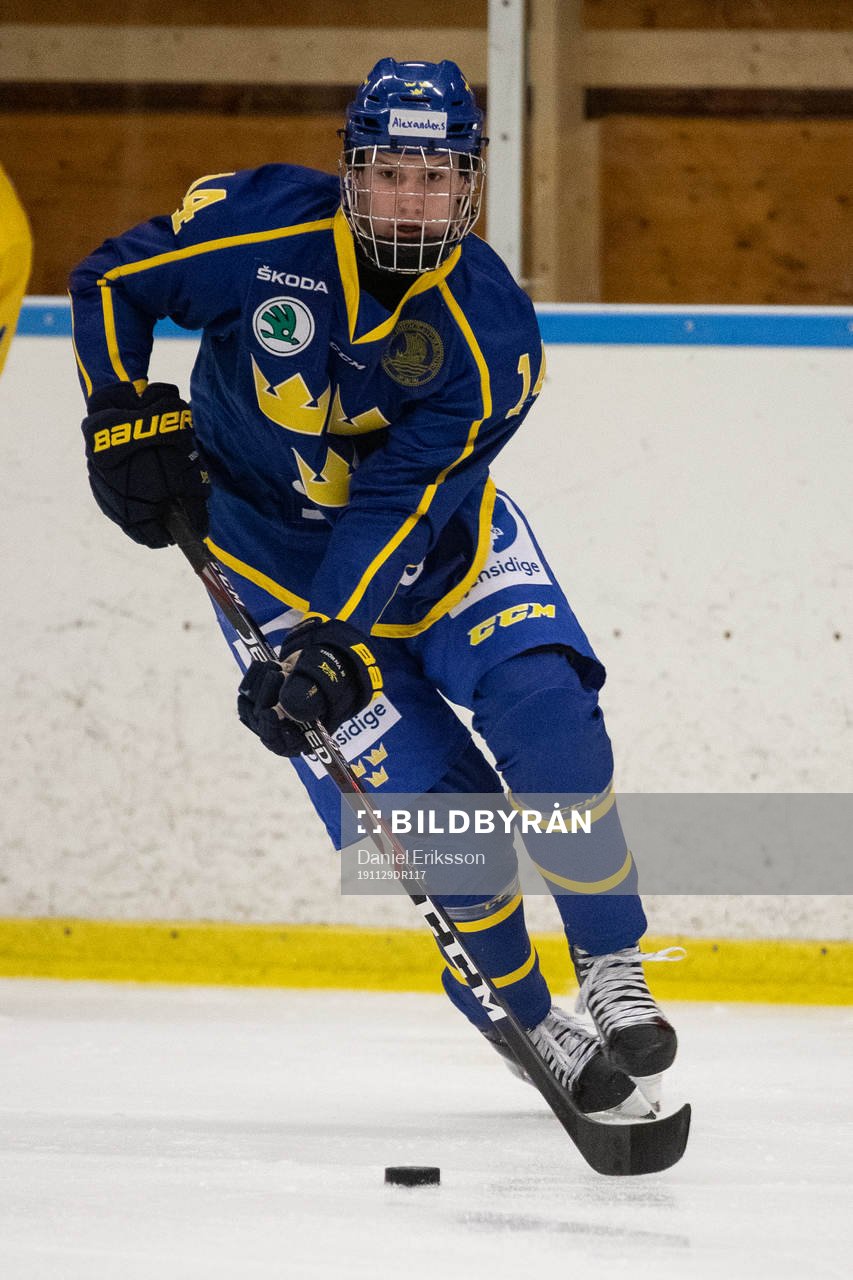 Sveriges Alexander Suzdalev