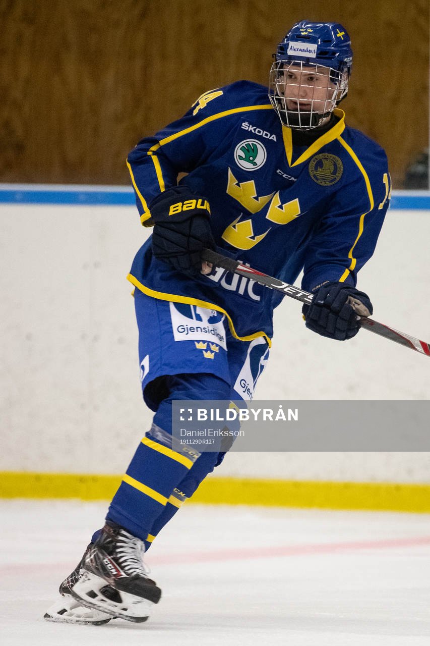 Sveriges Alexander Suzdalev