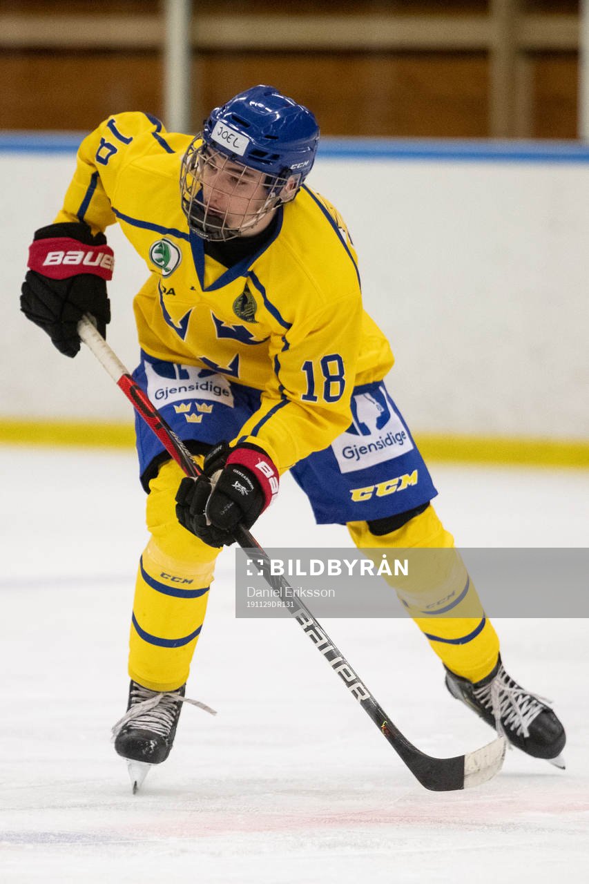 Sveriges Joel Kant