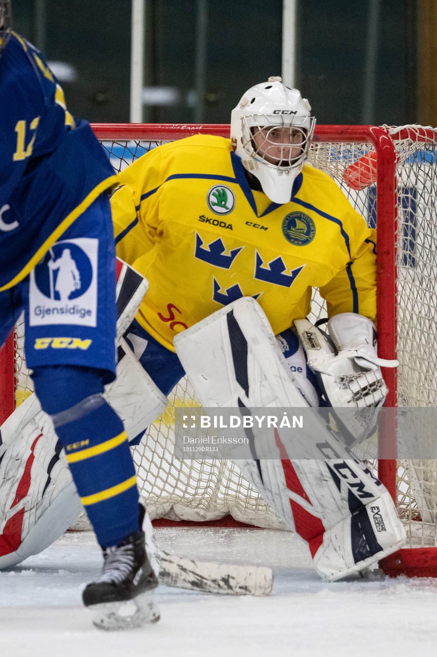 Sveriges målvakt Hugo Hävelid