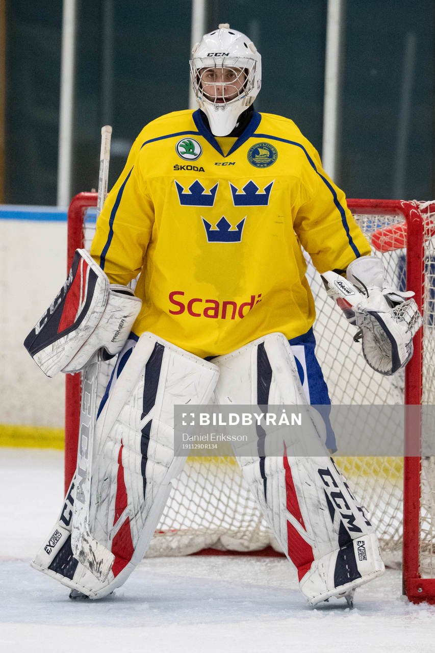 Sveriges målvakt Hugo Hävelid